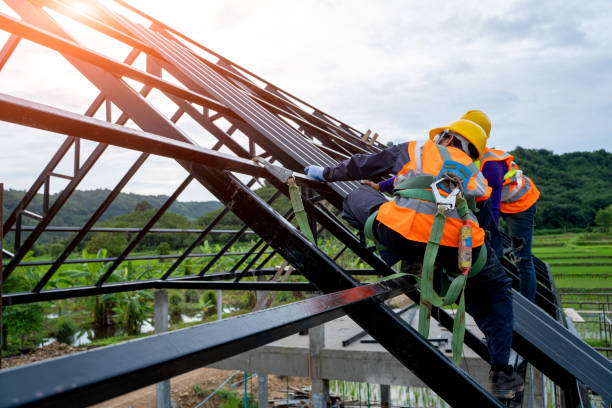 Best Commercial Roofing Services  in Lanark, IL
