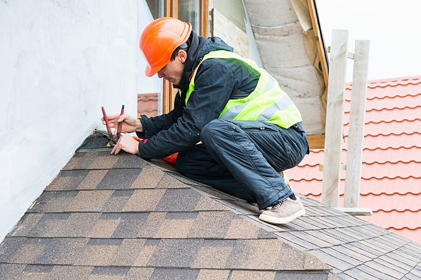 Best Residential Roofing Contractor  in Lanark, IL